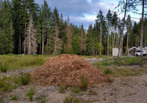 13 Wood chips ready and waiting