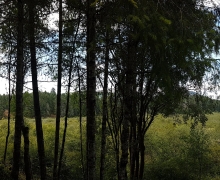 20180626_141546