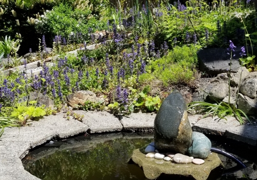 Water Fountain