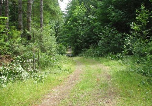 7a-road-to-centre