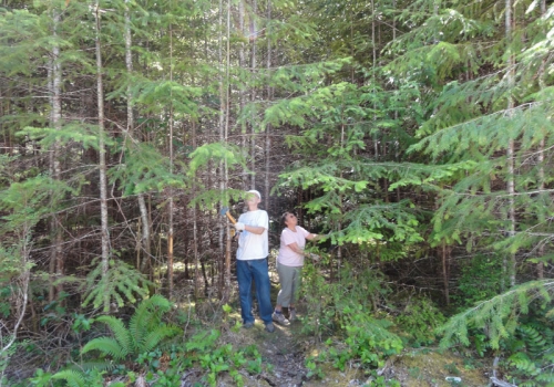 10bob-and-jenny-making-trail-in-trees