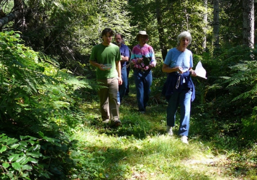 6on-the-land-planning