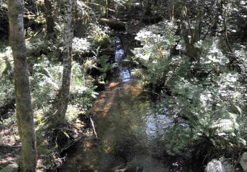 7aoliver-creek