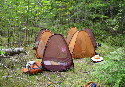 9sitting-on-the-land