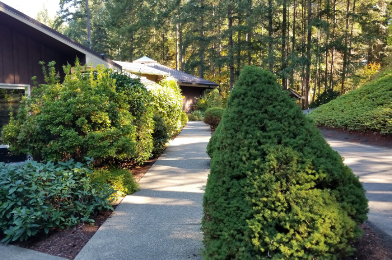The Meditation Hall